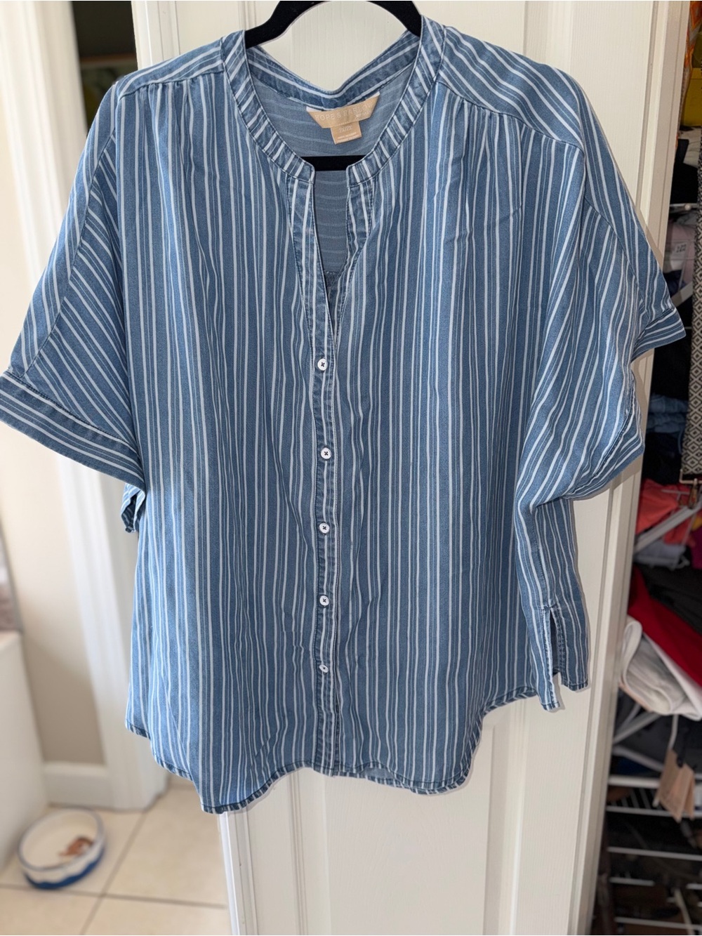 Blue Striped Short-Sleeve Button Front Men’s Shirt